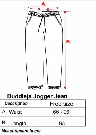 Denim / Jeans BUDDLEJA JOGGER JEANS- BLACK 3 buddleja_jogger_jean